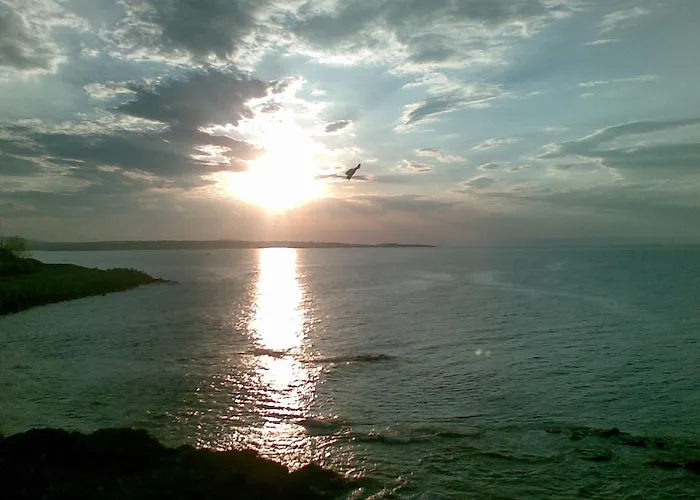 In Complex Lazur 2 * Sozopol